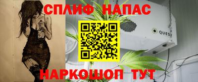 спиды Кинель