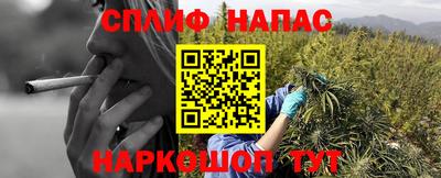 мет Кингисепп